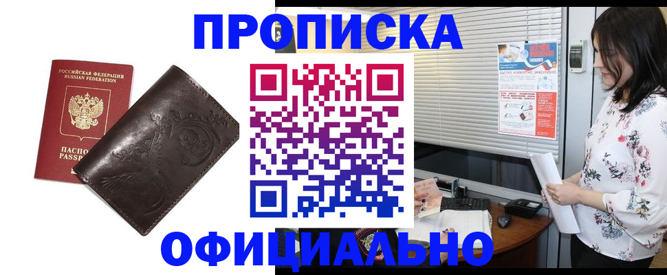 прописка 2025 в Оленегорске